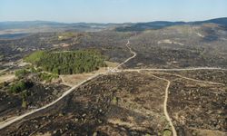 Ankara-Bolu sınırında yanan bölge dronla görüntülendi