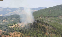 Aydın’ın Kuyucak ilçesinde ormanlık alanda yangın çıktı