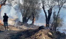 Bodrum’daki yangına müdahale devam ediyor