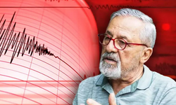 Bursa'daki deprem sonrasında: Prof. Dr. Naci Görür'den paylaşım!