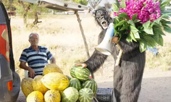 Aydın Aydın’dan goril kostümlü maymun çiçeği farkındalığı