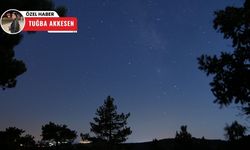 Başkentliler Perseid meteor yağmurunu Beynam Ormanlarında izledi