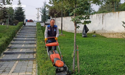 Akyurt Belediyesi Balıkhisar Parkı'nda Çim Bakımı Tamamlandı