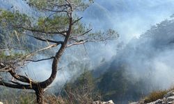 Hatay'daki orman yangınında 23. saat geride kaldı!