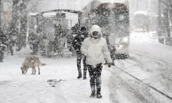 Meteoroloji uyardı: Yılın ilk karı geliyor!