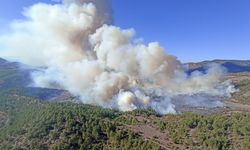 Bursa’daki orman yangınına müdahale devam ediyor