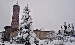 Termometreler buz tuttu: Türkiye’nin en soğuk yeri belli oldu