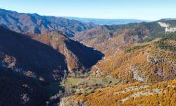 Ilgaz Dağı’nın sonbahar güzelliği görenleri mest ediyor