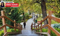 Kuğulu Park sonbaharın renklerine boyandı