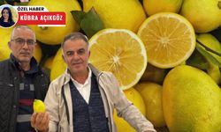 Limon, çiftçinin elinde patladı! üretici isyan etti