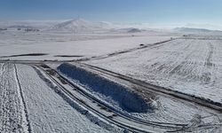 60 bin ton şeker pancarı kar altında kaldı