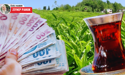 Türkiye'de çay tüketimi azaldı! Yüksek fiyatlar tüketimde düşüşe yol açtı