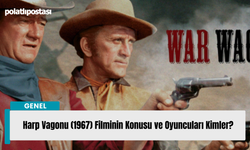 Harp Vagonu (1967) Filminin Konusu ve Oyuncuları Kimler?