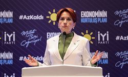 Meral Akşener ile ilgili çok konuşulacak sözler! "Git aday ol, 1 sene sonra AK Parti'ye katıl"