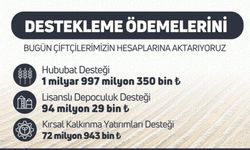 Vatandaşlara müjde: Destek ödemeleri hesaplara yatıyor