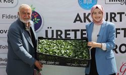 Akyurt Belediyesi’nden çiftçilere sebze fidesi desteği: Başvurular başladı!