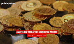 Amasya'nın 'Sarı Altını' gram altını solladı!