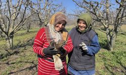 Mevsimlik işçiler, yaralı kuşa sahip çıktı