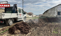 Polatlı Belediyesi’nden sineksiz yaz için erken müdahale