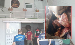 Adana’da 2,5 ton at eti ele geçirildi