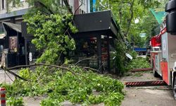 Şiddetli fırtına, 150 yıllık çınarı kafenin üzerine devirdi: 2 yaralı