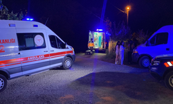 Aile kavgası kanlı bitti! Gözü dönen şahıs ablasını ve eniştesini vurdu