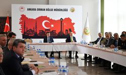 Ankara'da orman yangınları konusu masaya yatırıldı