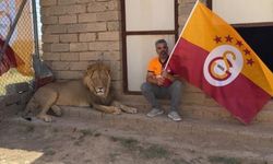 Galatasaraylı taraftardan aslanlı kutlama