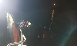 Ayvalık’ta 43 düzensiz göçmen yakalandı