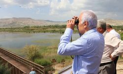 Başkent Ankara Meclisi, 8'inci foto safari etkinliğini düzenliyor: "Tetiğe değil deklanşöre bas"