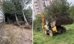 Çankaya’da ağaç katliamı: Vatandaşlar tepki gösterdi