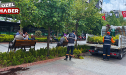 Çankaya'daki park ve bahçelerde yeşil alan seferberliği