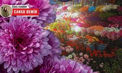 Yoğun mesai başladı: En çok tercih edilen çiçek şaşırtmadı