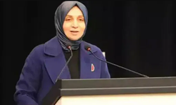 Cumhurbaşkanı Başdanışmanı hakkında skandal iddia: Vatandaşa küfür etti!