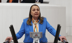 Doğurganlık hızındaki düşüş meclis gündeminde