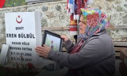 Eren Bülbül'ün annesinden PKK'nın fesih kararına duygusal tepki: Eren’ler şehit edilmesin