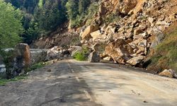 Giresun'da heyelan: Yol ulaşıma kapandı