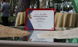 Balıkesir'in Gönen Baldo Pirinci tescillendi