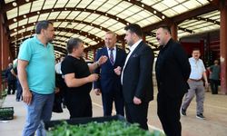 Kahramankazan Belediyesi’nden çiftçiye fide desteği