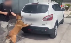 Kahramankazan’da narkotik köpeği "İda", otomobile gizlenmiş esrar buldu