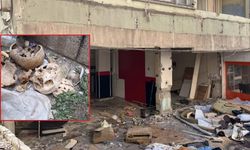Kentsel dönüşüme giren binada 3 kişiye ait iskelet bulundu