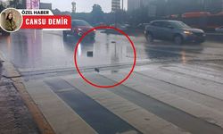 Şiddetli yağmur Ankara’yı vurdu: Caddeye savrulan taşlar trafiği riske attı