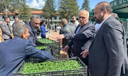 Kızılcahamam’da fide dağıtımı 5'inci yılında rekora koştu!
