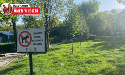 Kurtuluş Parkı'nda tasmasız köpek dönemi sona erdi: ABB'den yeni düzenleme