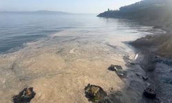 Gemlik Körfezi'ndeki müsilaj vatandaşları tedirgin ediyor