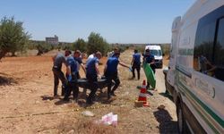 Tarlada başından vurulmuş hâlde bulundu
