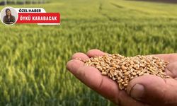 Tatil haftasında Polatlı Ticaret Borsası’nda durgunluk: Ürün miktarı yüzde 40 azaldı