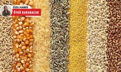 Polatlı Ticaret Borsası'nda haftalık veriler açıklandı: Satışlar arttı, fiyatlar yükseldi!