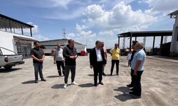Pursaklar Kurban Bayramı'na hazırlanıyor