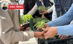 Pursaklar’da yerli fideye yoğun ilgi